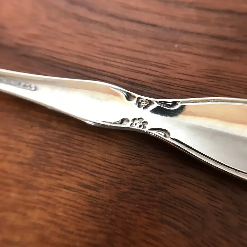 Oneida Community CHATELAINE Stainless Betty Crocker Glossy Flatware SPOON